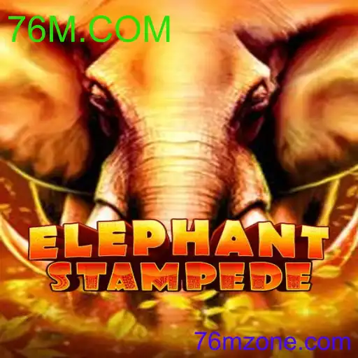ElephantStampede